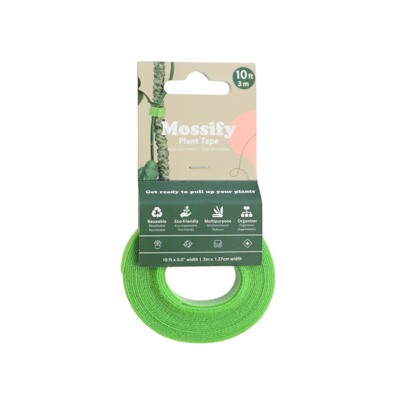 Ruban pour plantes