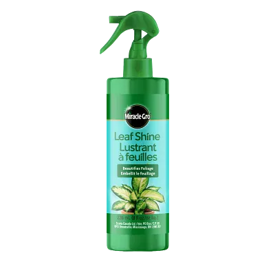 M-G Lustrant à feuilles 236ml